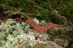 zahradni dekorace jesterka 1046 23x15 cm cortenna zahrade