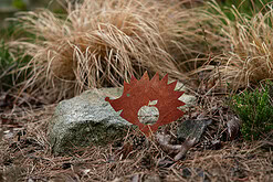 zahradni dekorace jezek 1043 20x20 cm cortenna zahrade